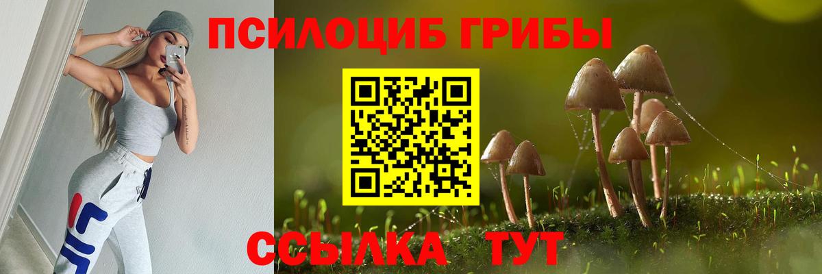 Псилоцибиновые грибы Psilocybine cubensis Тара
